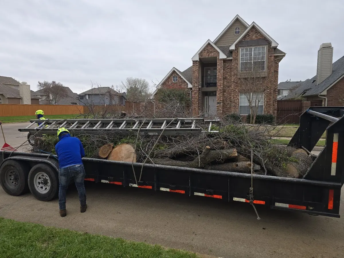 Expert Tree Pest Control with proper safety equipment in Tustin